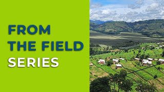 Guardians of the Wetlands: 12 Years of Crane Conservation and Community Resilience in Rwanda