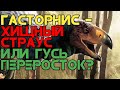 Гасторнис или же диатрима, Соперник форорака или гусь переросток?