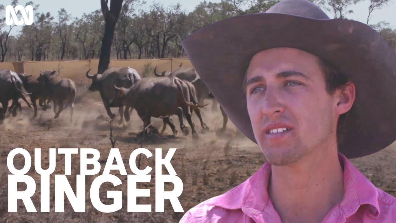 Most dangerous bull catching moments | Outback Ringer