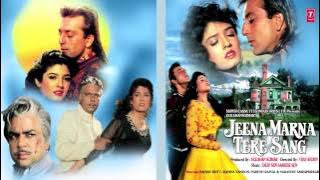 Tumse Hai Kitna Pyar Full Song Jeena Marna Tere Sang |Anuradha P,Vipin Sachdeva |Sanjay Dutt