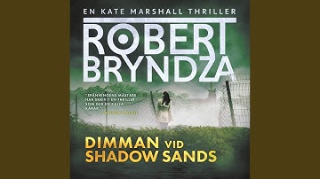 Chapter 26.4 & Chapter 27.1 - Dimman vid Shadow Sands