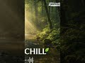 Nature Chill 🌿 | Relax AI #americanmusic #music #aimusic #lofi #lofi #jazz