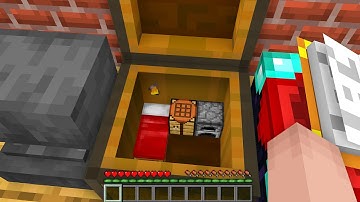 HOW NOOB BUILD HOUSE INSIDE CHEST!? Minecraft NOOB vs PRO! 100% TROLLING UNDER IN ON END CHEST