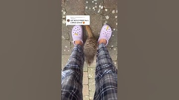 Reply to @animalloveeerrrr letting mylo FREE! #kylethomas #shorts