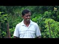 බව්වාගම දිරිය මිනිසා-Department Of Agriculture Sri lanka Krushi tv channel