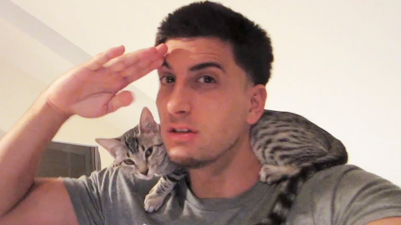 KITTEN SWAG kelly blue book