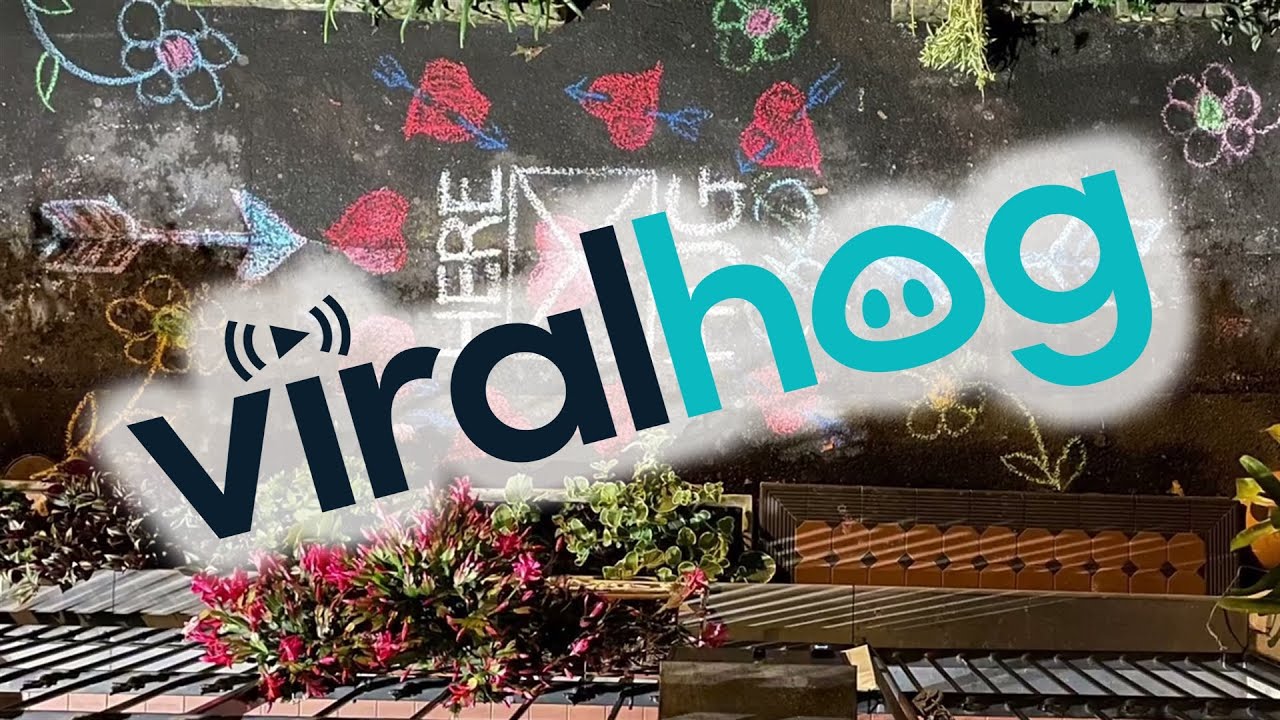 "Hug Here" Chalk Art Creates Heartwarming Moments ViralHog YouTube