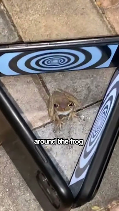 They Tried to Hypnotize a Frog With 3 Phones… But the Ending? UNEXPECTED!