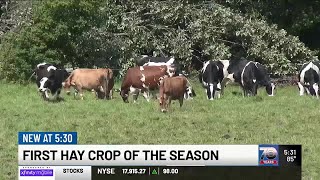 Vermont farmers see strong start to hay harvesting