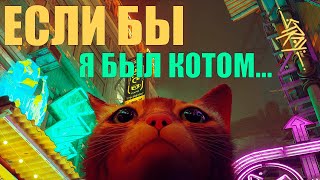 Если бы я был котом… STRAY #1.