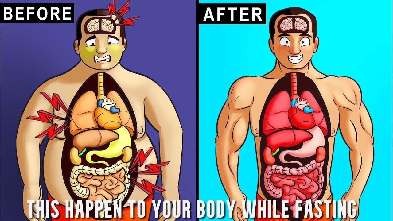 What Happens to Your Body While Fasting - YouTube