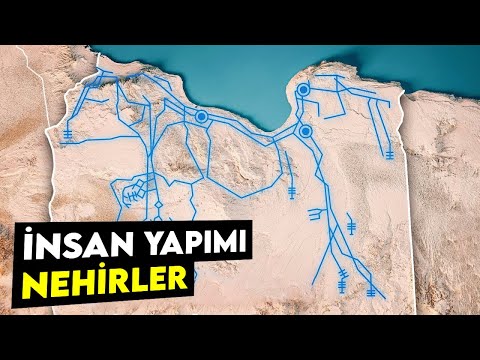 Video: Sıradışı Hayvanlar ile Beklenmedik Dostluklar Yapan 12 Irk