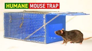 Best Humane Mouse Trap/Rat Trap | DIY Mouse Trap | Easy Mouse Trap