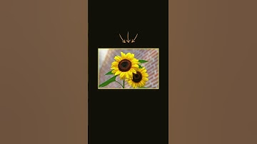 Remove Image Backgrounds in Seconds! 🚀 | Easy & Free