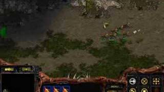 ZvP 9 Overpool Speedling Build