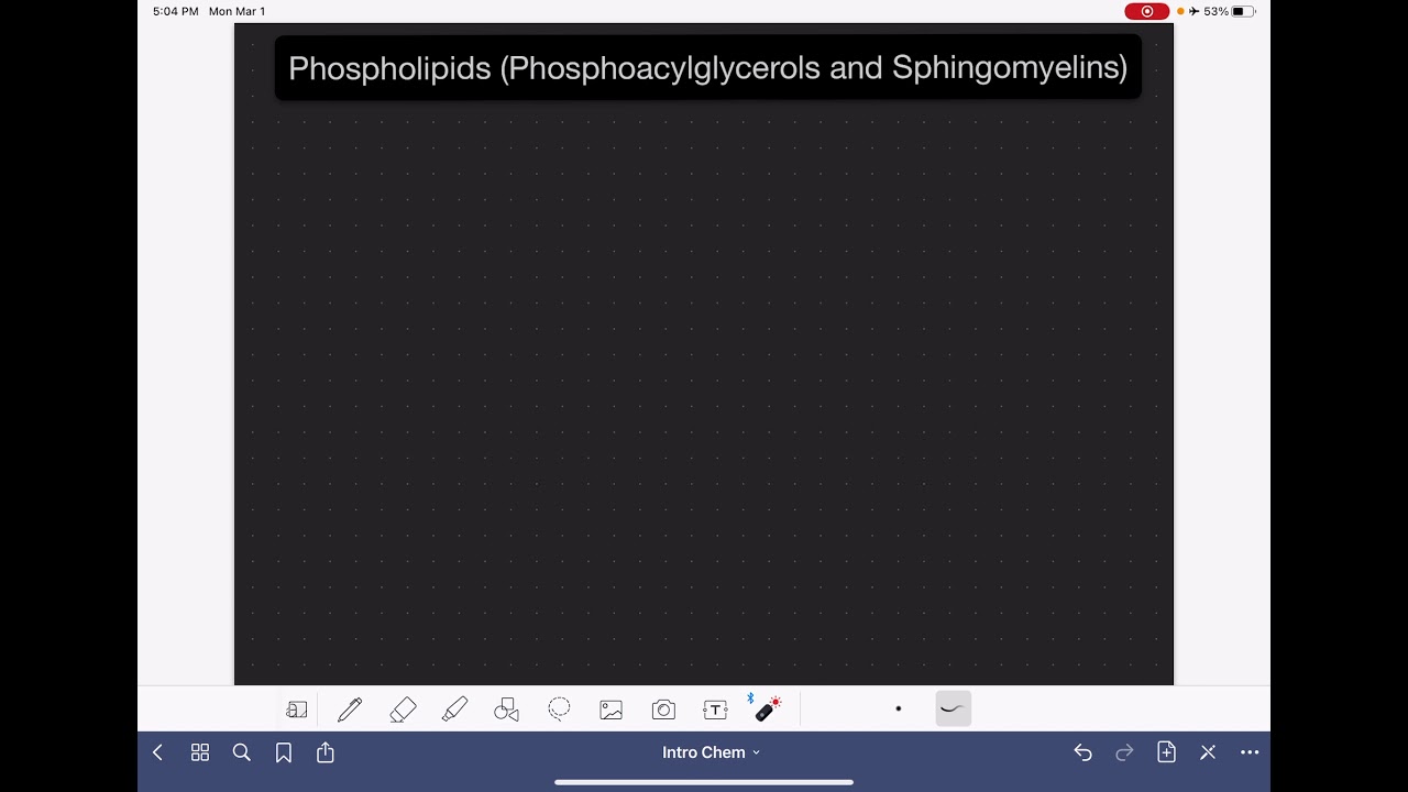 55: Phospholipids