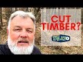 Should You Cut The Timber Before You Sell?