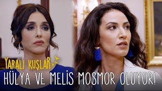 Hülya ve Melis Mosmor Oluyor! | Yaralı Kuşlar 28. Bölüm