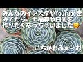 七福神と白鳳を育てます!
