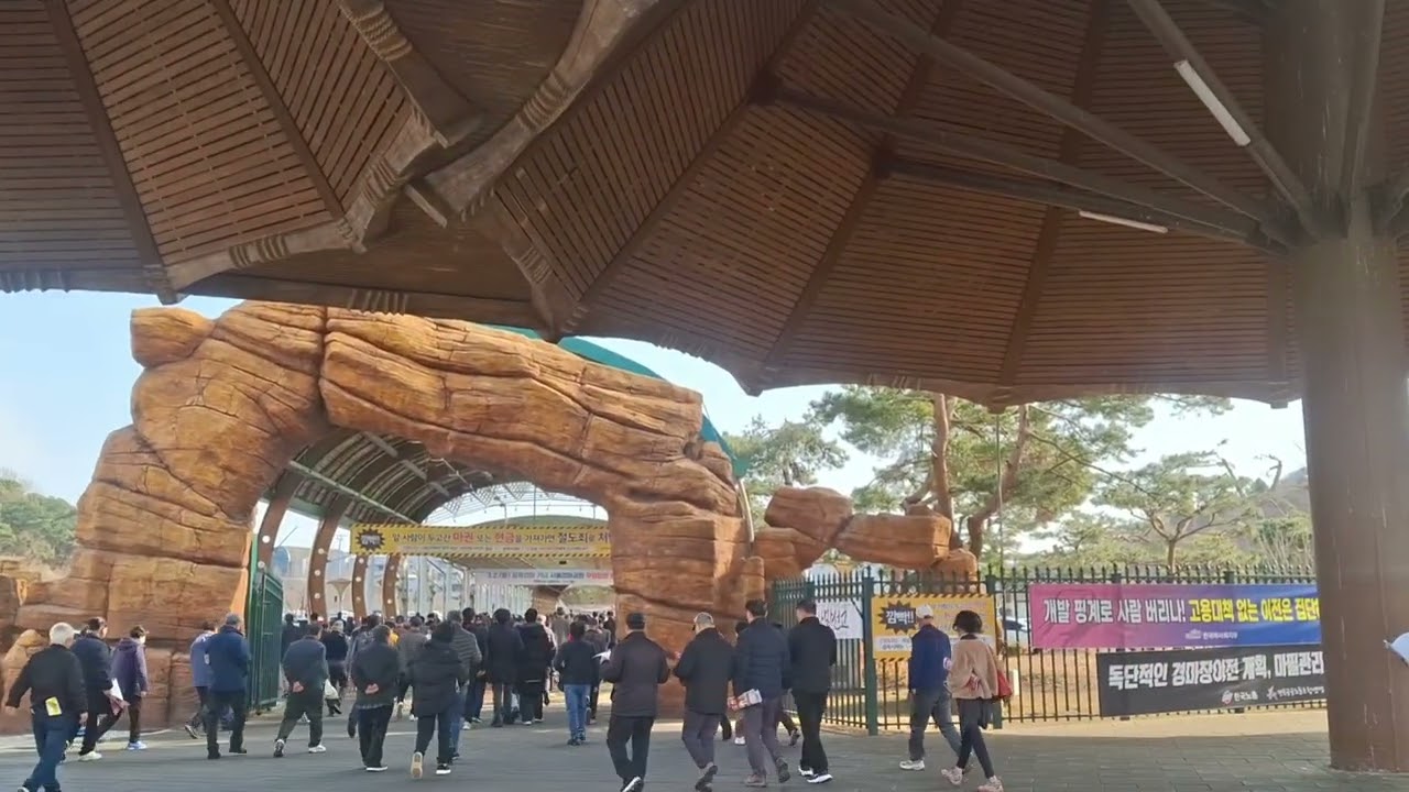 모두  대승 하세오