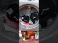 Toy Washing Machine At Dirt Cheap Toy Washing Machine At Dirt Cheap