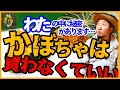 スーパーで買ったかぼちゃの種を育てたらとんでもないことになった…【再生栽培】【家庭菜園】【園芸】