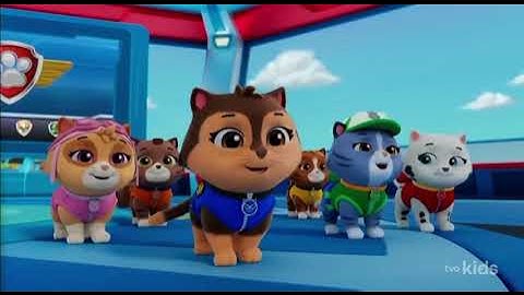 Paw Patrol Air Rescue Pups Save a Hum-stronaut 👍