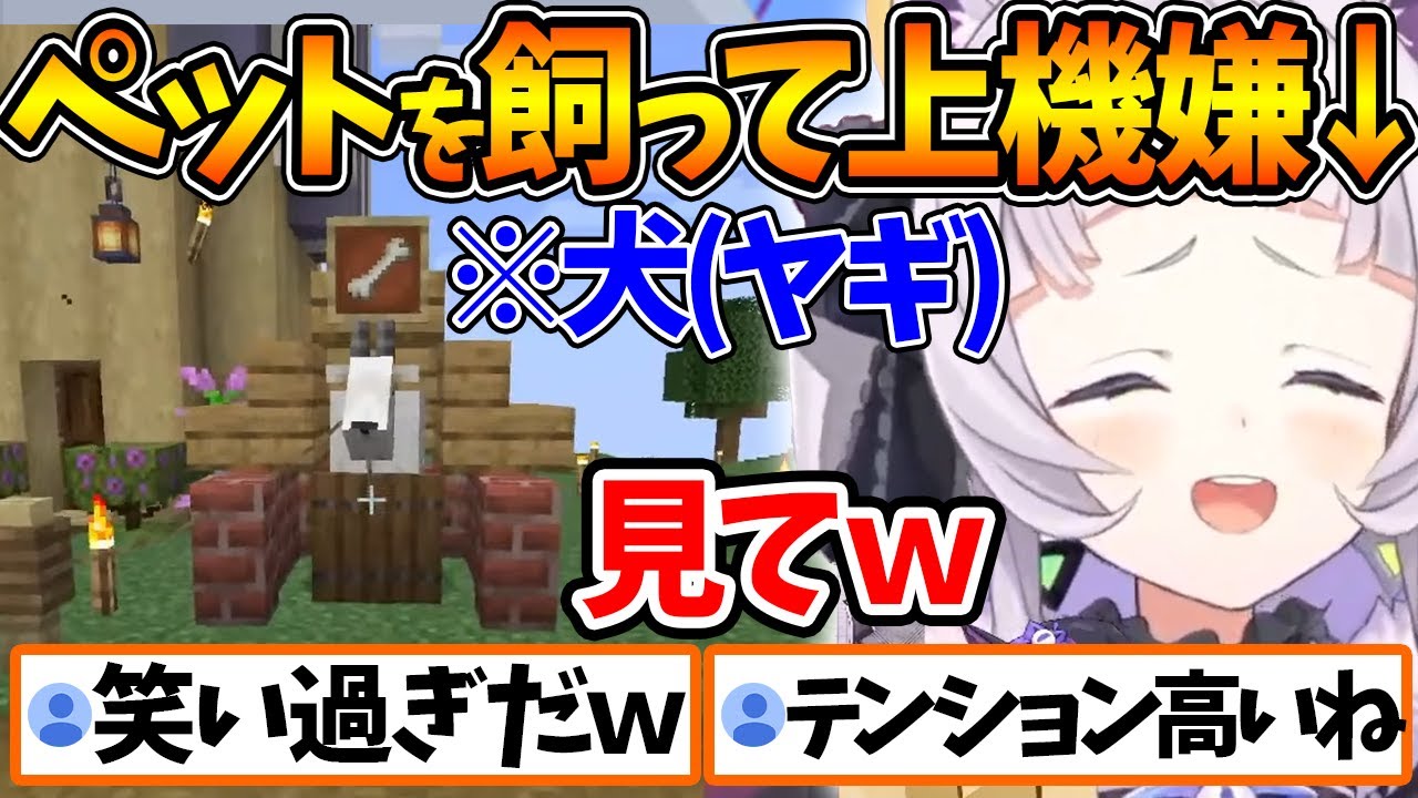 犬(ヤギ)を飼うことになって上機嫌なシオンちゃんｗ【ホロライブ/切り抜き/VTuber/ 紫咲シオン 】