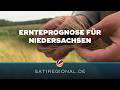 Erntesaison 2026 in Niedersachsen: Gute Prognose trotz angespannter Lage
