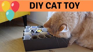 Amazing free cat toy. Applicable for Maine Coon and siberian cats - Cat challenge!  [DIY] by Dream & Diamond Cats 442 views 4 years ago 4 minutes, 2 seconds