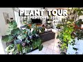  plant tour printemps 2022   amnagement pots dco collection 200 plantes rares part 1
