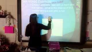 7.1d - Non-Mendelian - Sex-linked