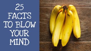 25 Random Facts That Are Guaranteed To Blow Your Mind (Part 4)