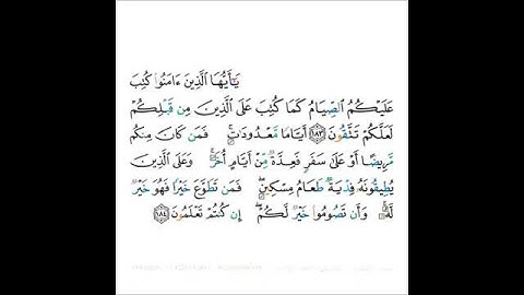 القارئ ماجد الزامل - سورة البقرة - من الآية 183 إلى الآية 184