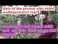 Role of the person who ruled Nedungamuwe Raja