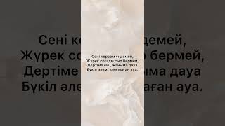 ADAM. ZHUREK. Адам. Журек. Жүрек.Lyrics-лирикс @Turan_media