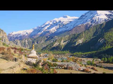 نسب قبيلة السننة من اولاد علي اكسبلور تاريخ قصص ترند