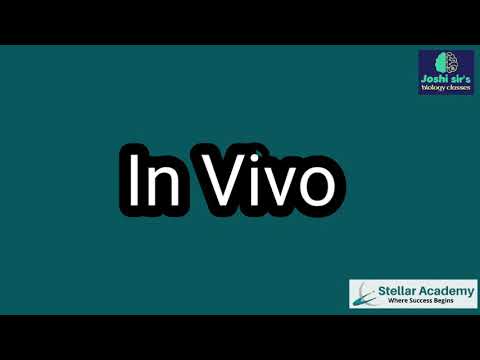 Video: In Vivo Un In Situ Audzēja Imunitātes Programmēšana, Apvienojot Onkolītiskos Līdzekļus Un PD-1 Imūno Kontrolpunktu Blokādi