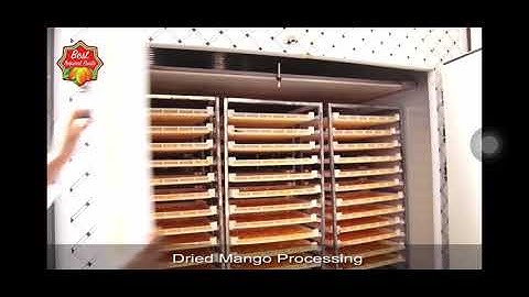 Dried Mango Production And Drying Process