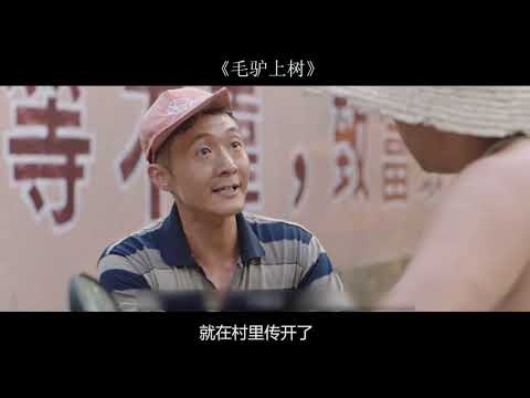 脱贫攻坚战中一个个不为人知的驻村故事《毛驴上树