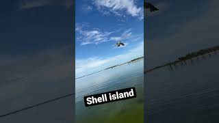 Shell island