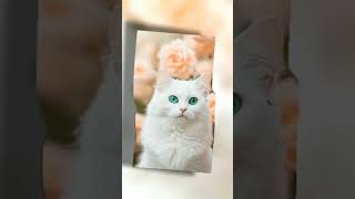 جرب تنافسنا   - اسمعها