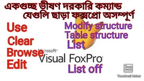 Visual FoxPro 6.0