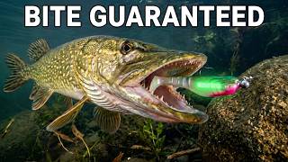 How to Make Soft Plastic Lures Glow in the Dark | Predator Fishing at Night screenshot 4