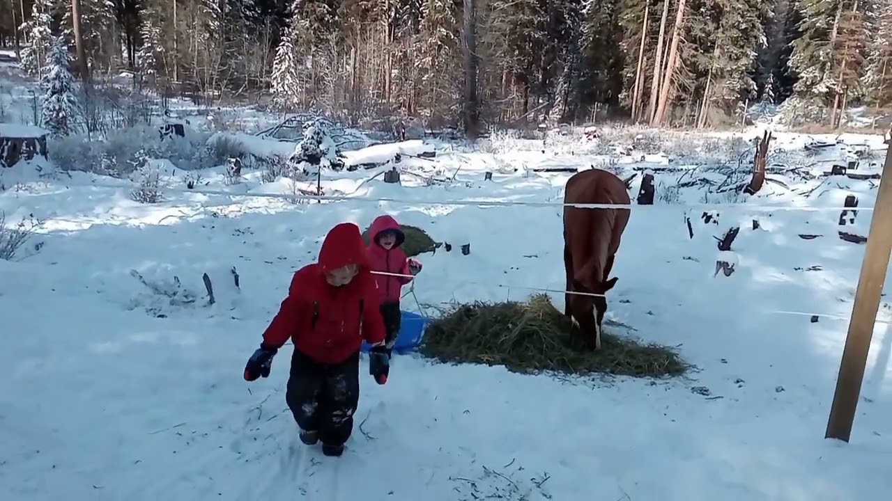 Winter Farm Chores with Kids - Nov. 2021