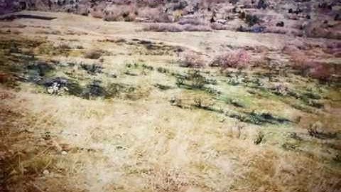 Spring Frost Music Video