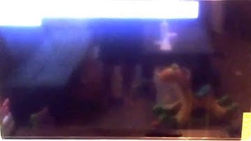 PS3 Jailbroken Rogero 4.55 CFW Multiman 4.60