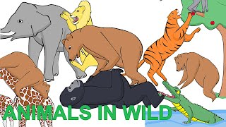 Wild Animals in Forest | Short Cartoon Film for Kids