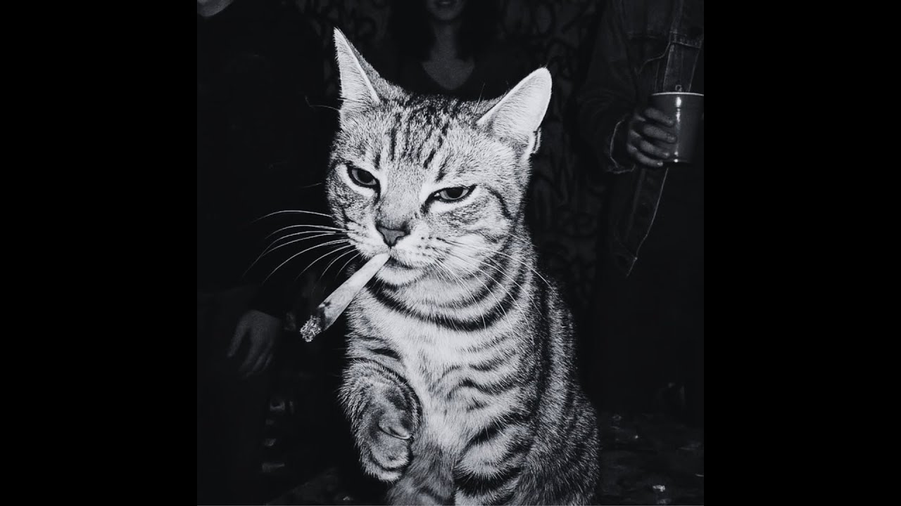 [FREE] EsDeeKid Type Beat - 