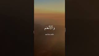 Download Mp3 Surah Fatir, verses 27-28 | 35:27-28 Gudang lagu Download Mp3 Surah Fatir, verses 27-28 | 35:27-28